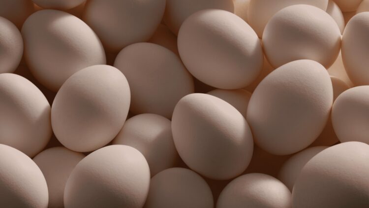 El 100% de los huevos servidos en nuestros restaurantes de Perú provienen de gallinas libres de jaula